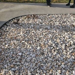 Meet your Posher, Isabella